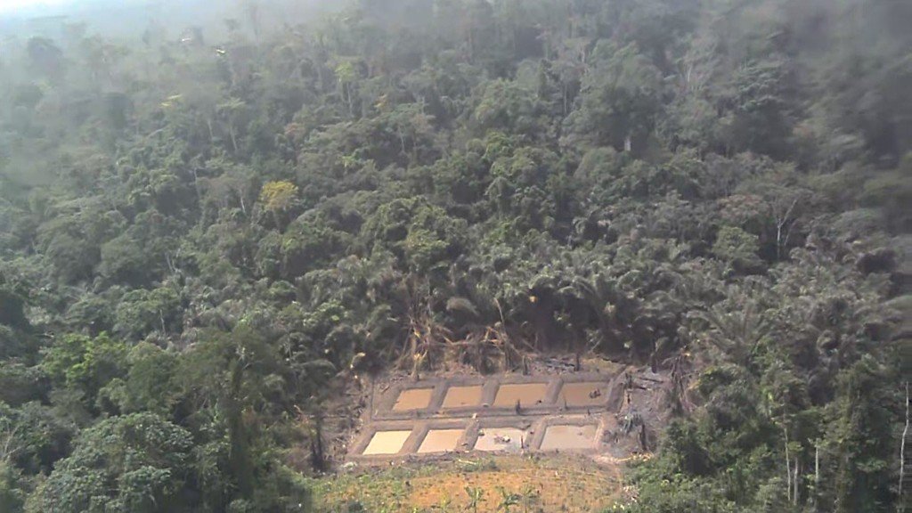 Aerial view of NG Farms fish ponds surrounded by rainforest, Cameroon